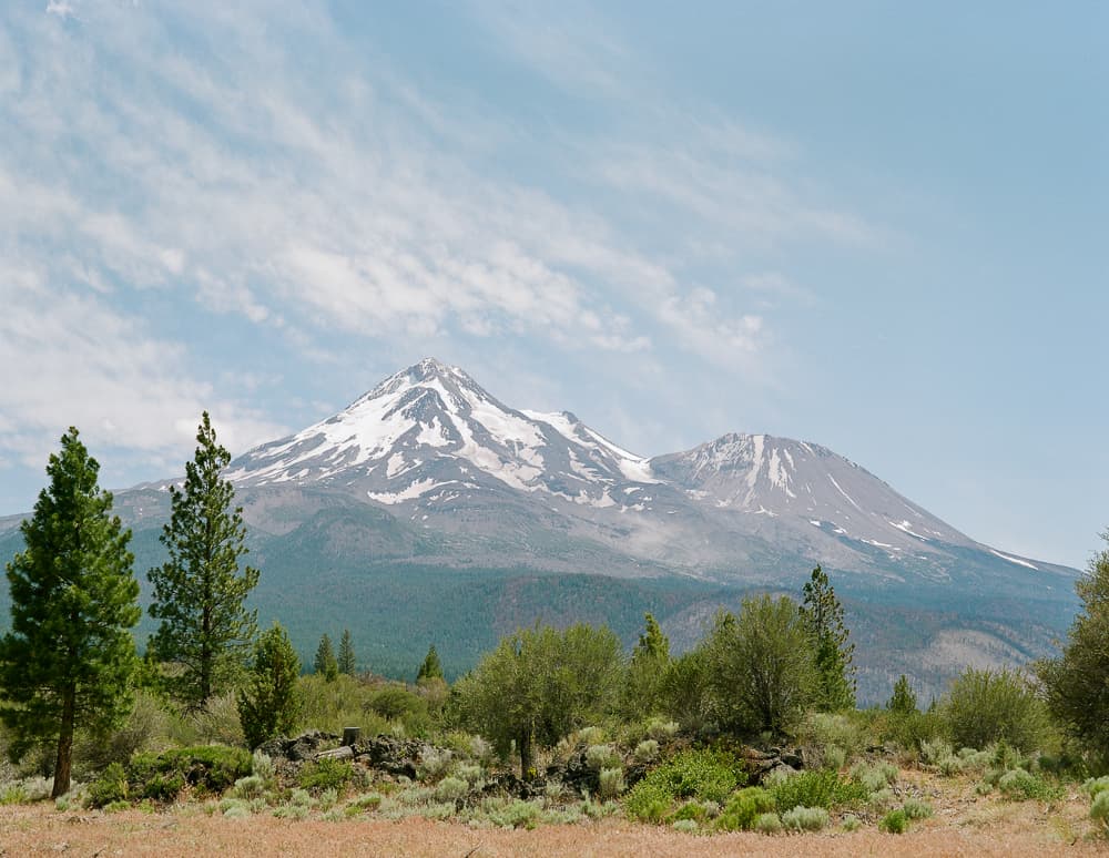 Snow-capped Mount Shasta rising above pine trees and high-desert brush
