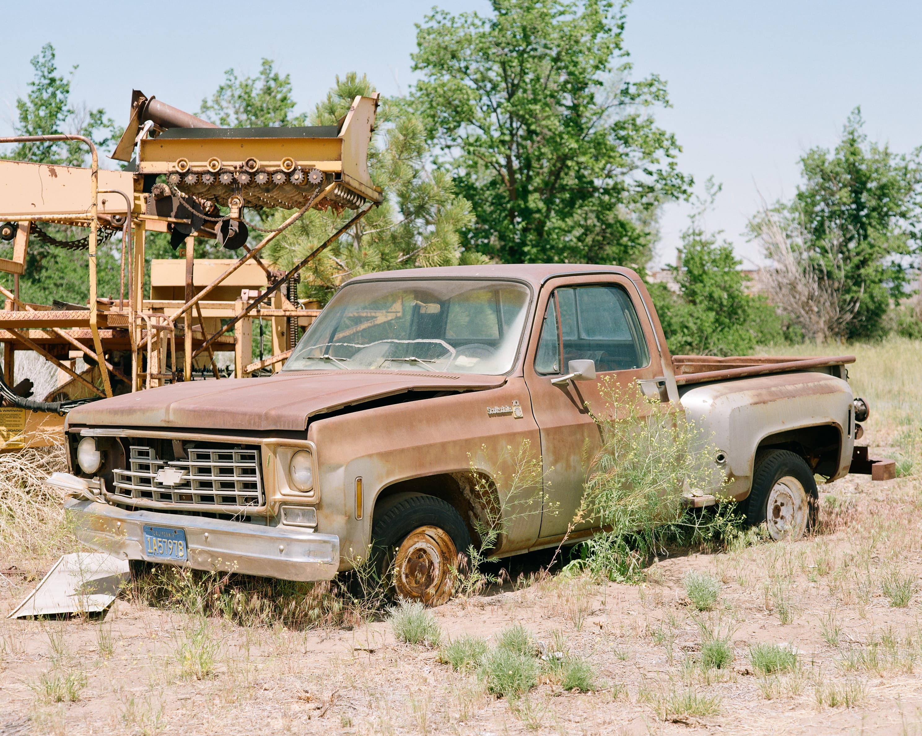Rusted 1970s Chevrolet stepside pickup overgrown with weeds beside old farm equipment