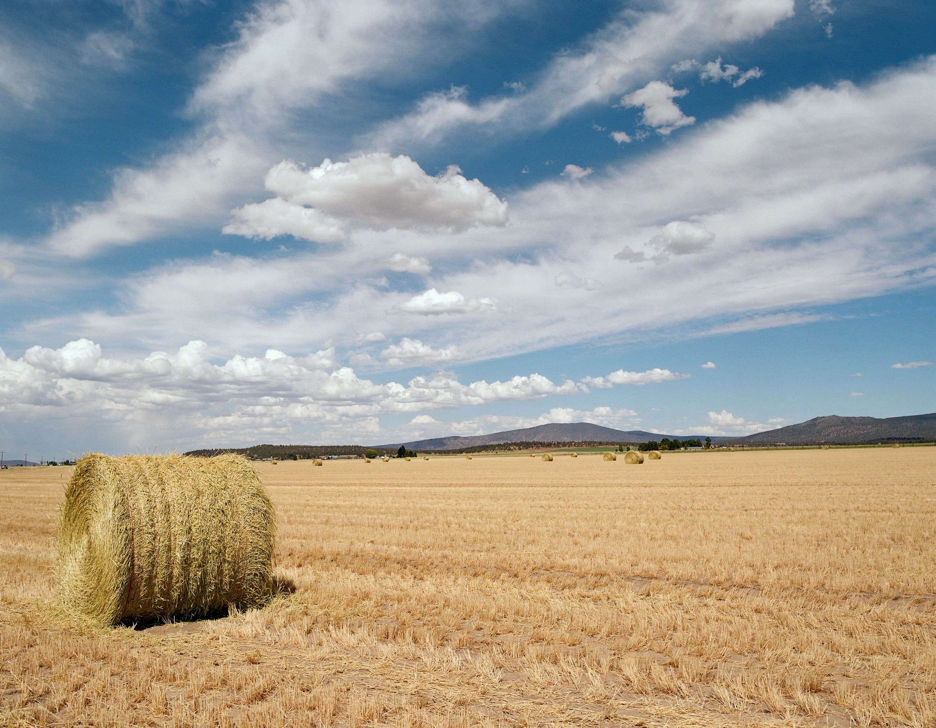 Round hay bale in a harvested golden field beneath a wide cloud-streaked sky